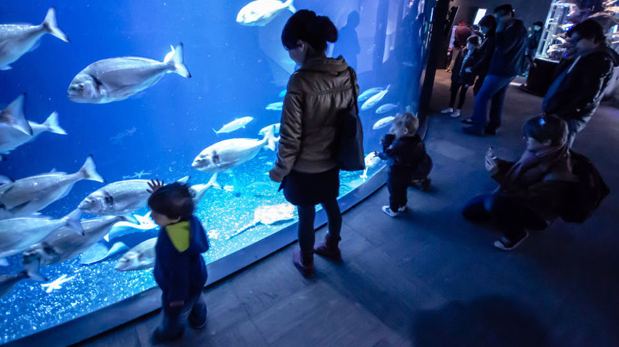 How to visit Paris's aquarium